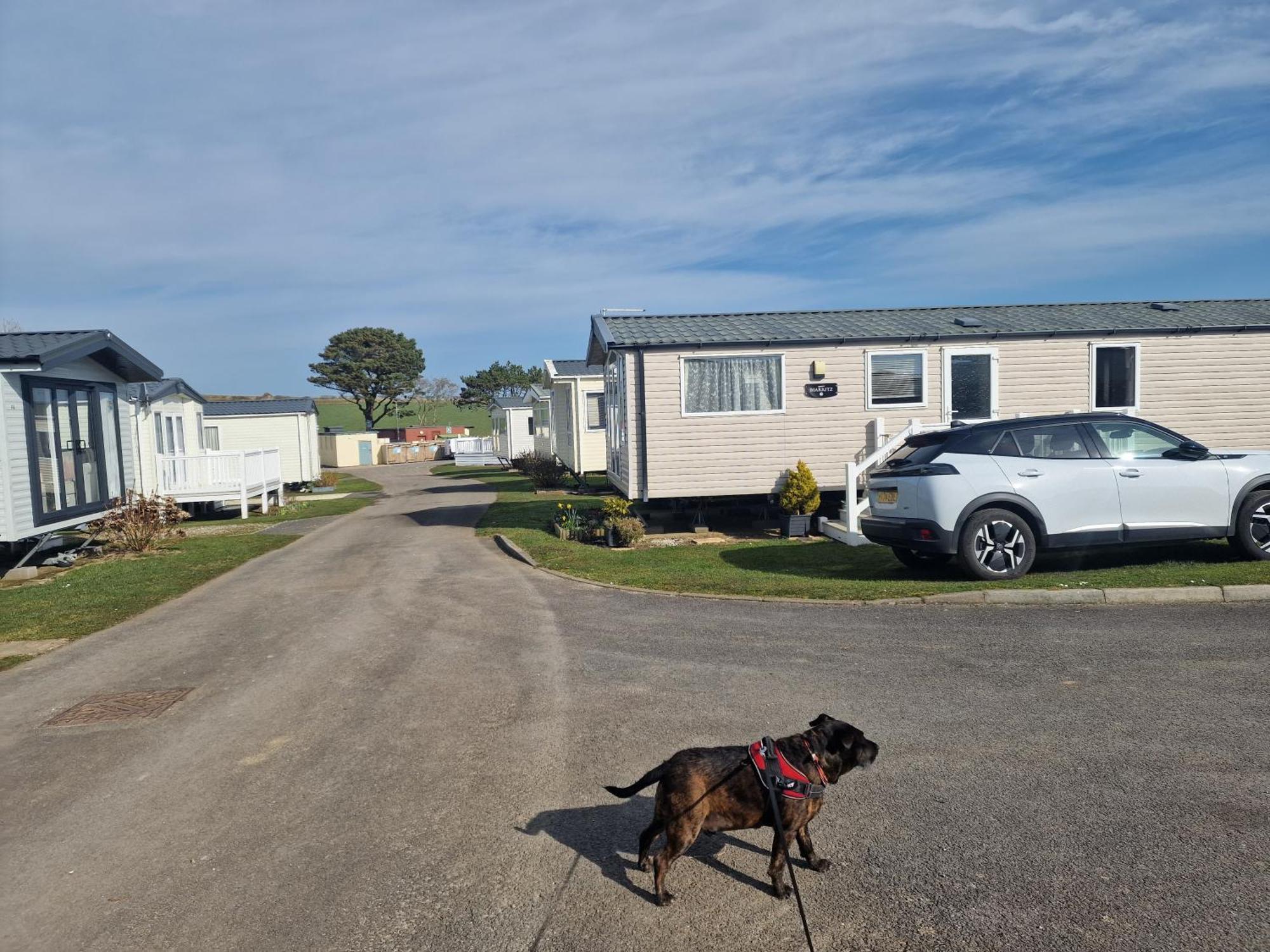 Durdlee Door, D27, Main Rd, West Lulworth, Wareham Bh20 5Pu Otel Dış mekan fotoğraf